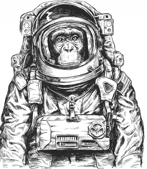 Home-16-img-1-2.png Home-16-img-1-2.png